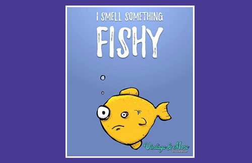 Read more about the article Something Fishy