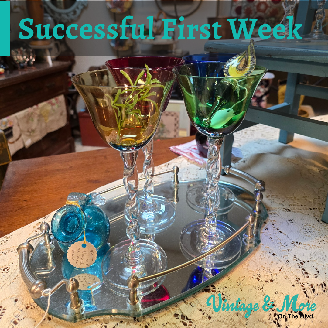 Read more about the article Successful First Week