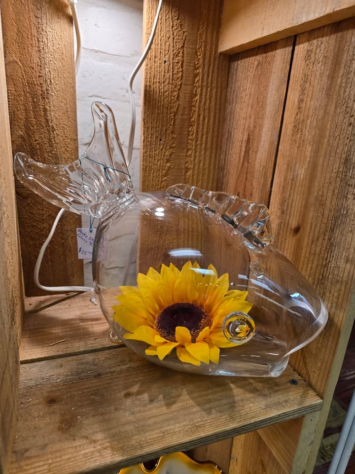 Read more about the article Turn This Clear Glass Fish Into Your Next Treasure